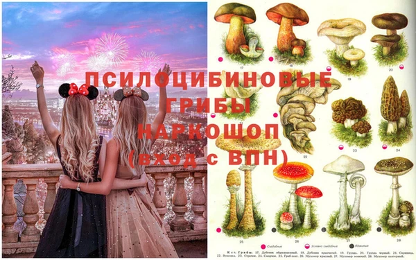 марихуана Семикаракорск
