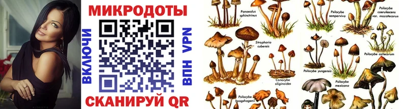 цены наркотик  Балахна  OMG ТОР  Псилоцибиновые грибы Cubensis 